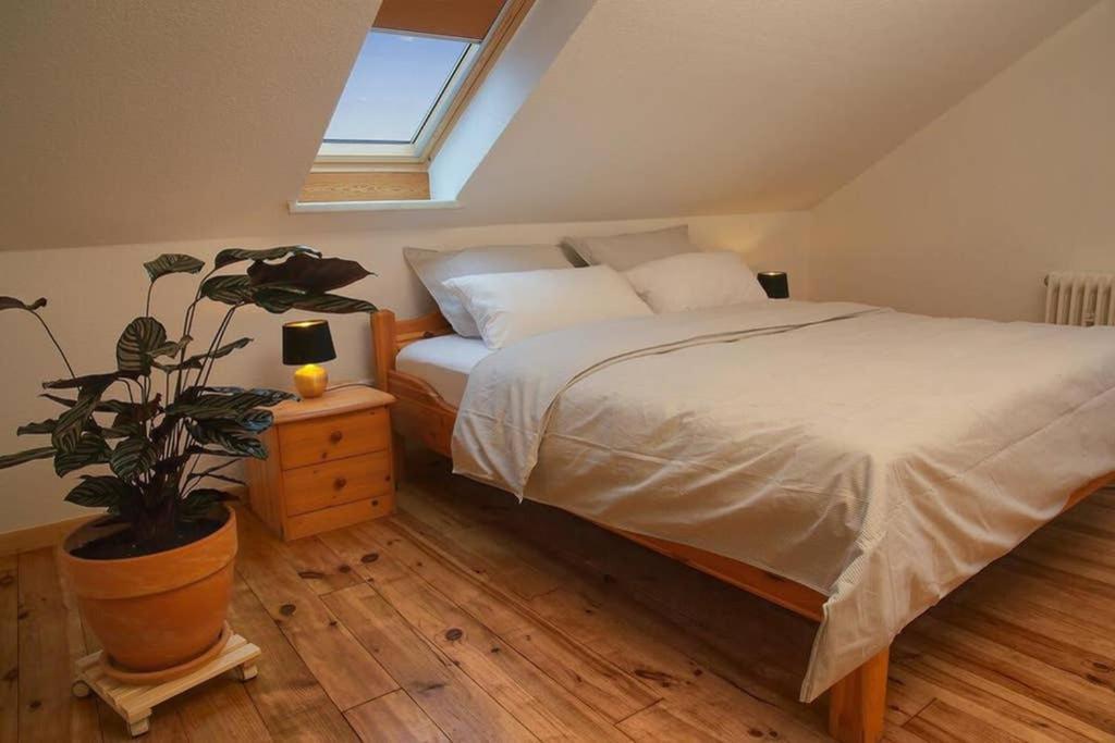 Ferienwohnung “Mount Meissner” Germerode Esterno foto